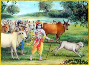 Why cow protection is so important especially in India?