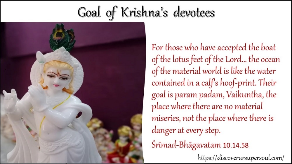 Goal of Krishna's devotees