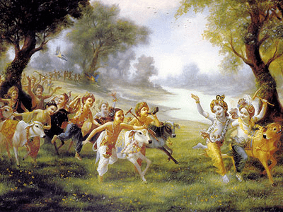 Why Krishna took birth on earth?