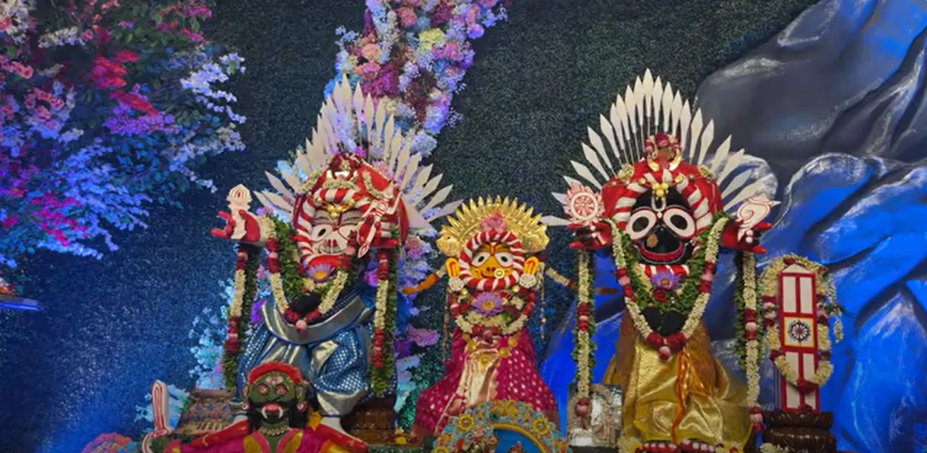 Opportunity to serve Lord Jagannath at Gundicha Temple